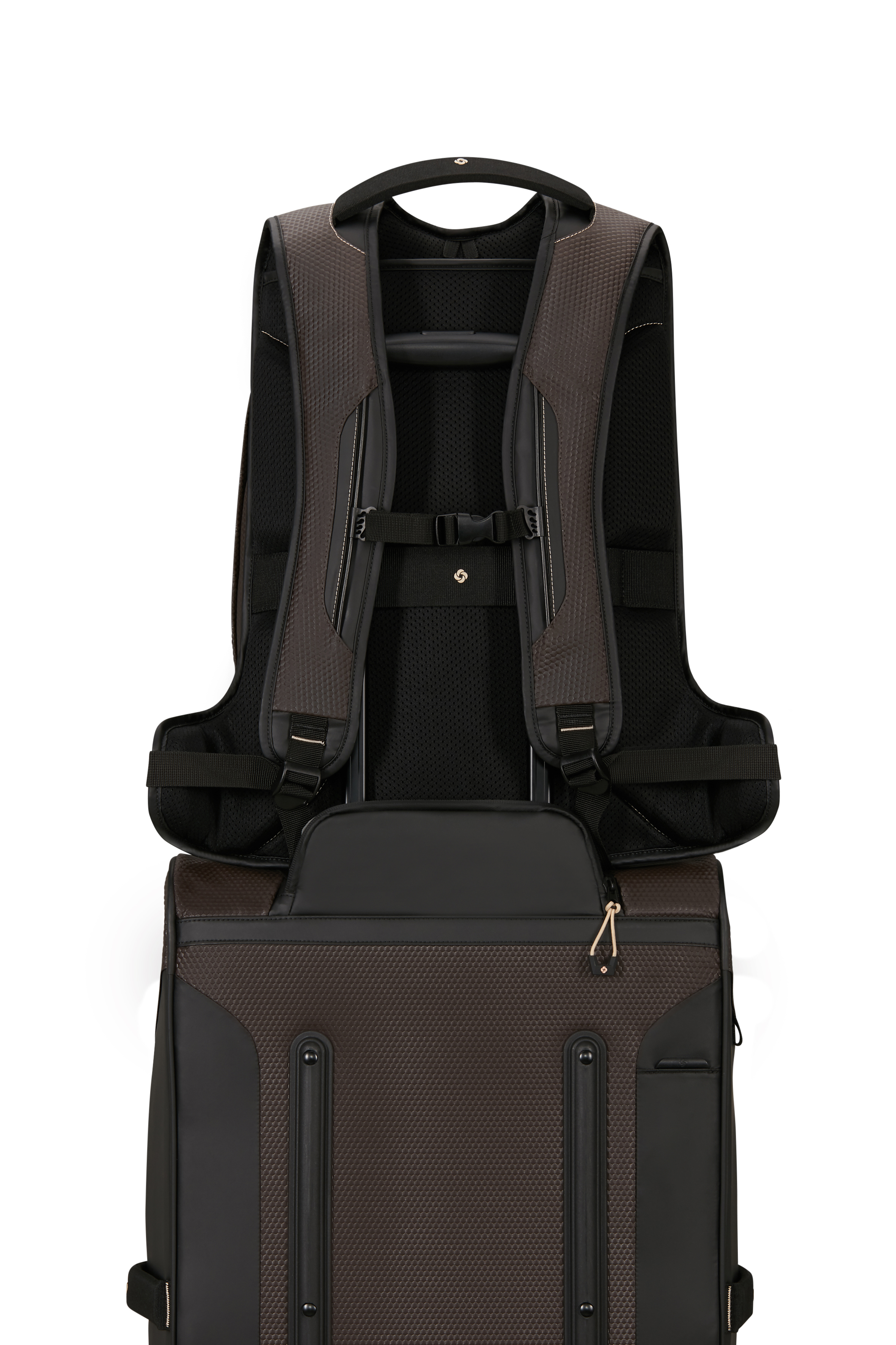 Samsonite Ecodiver Laptop Rucksack L coffee bean Samsonite Ecodiver Laptop Rucksack L coffee bean