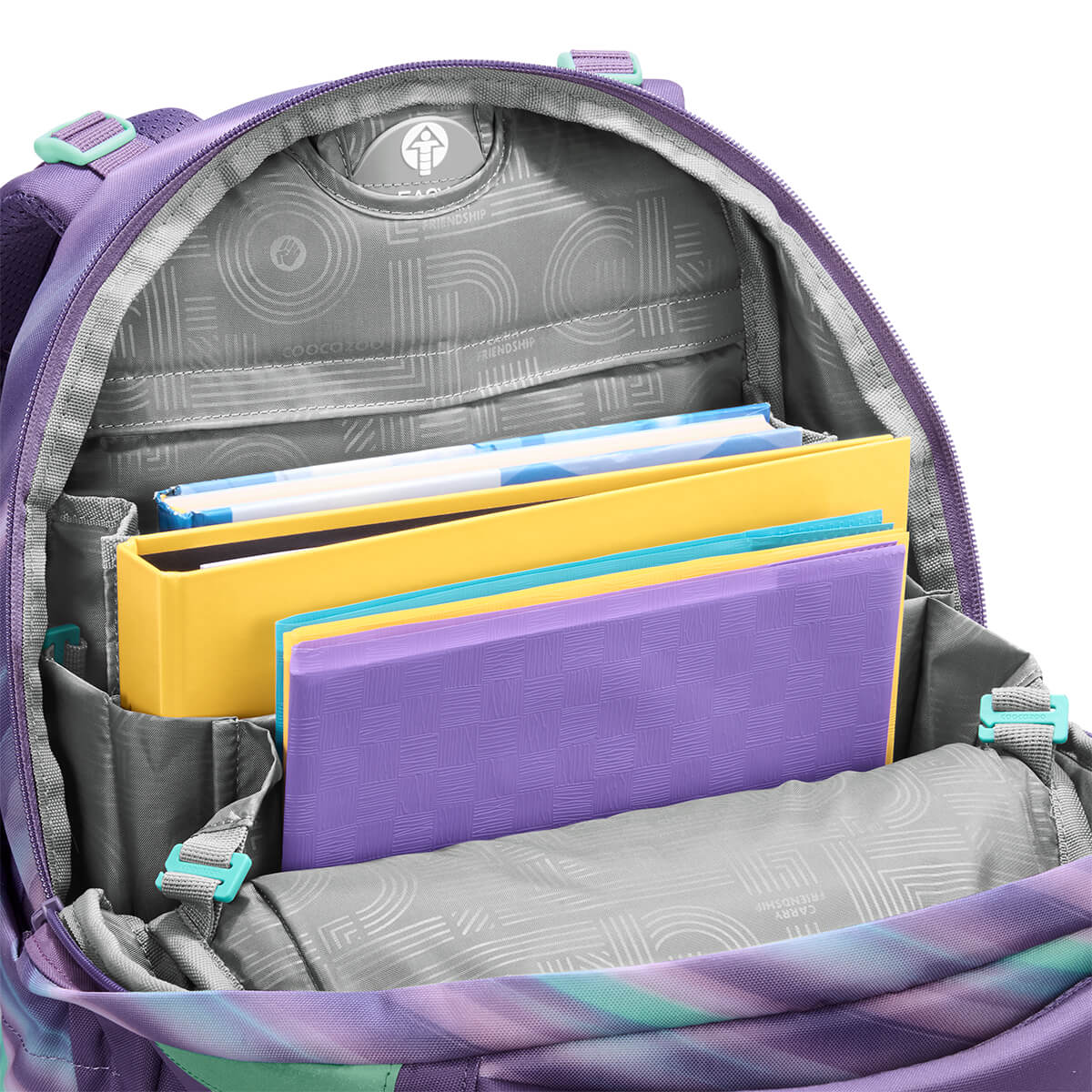 Coocazoo Schulrucksack MATE Artic Lights